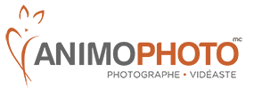 AnimOphoto